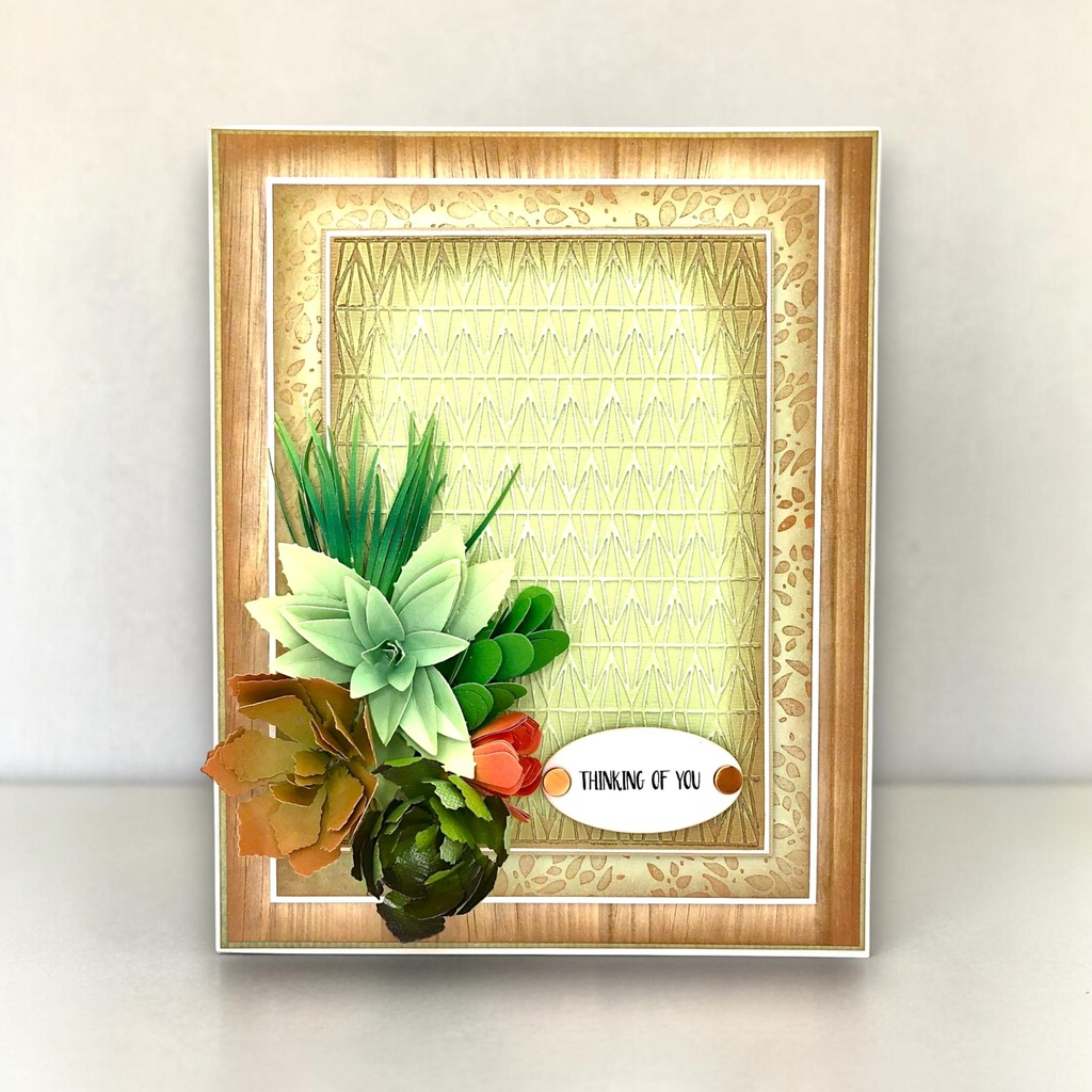 Sharon Callis Sensational Succulents - Jade