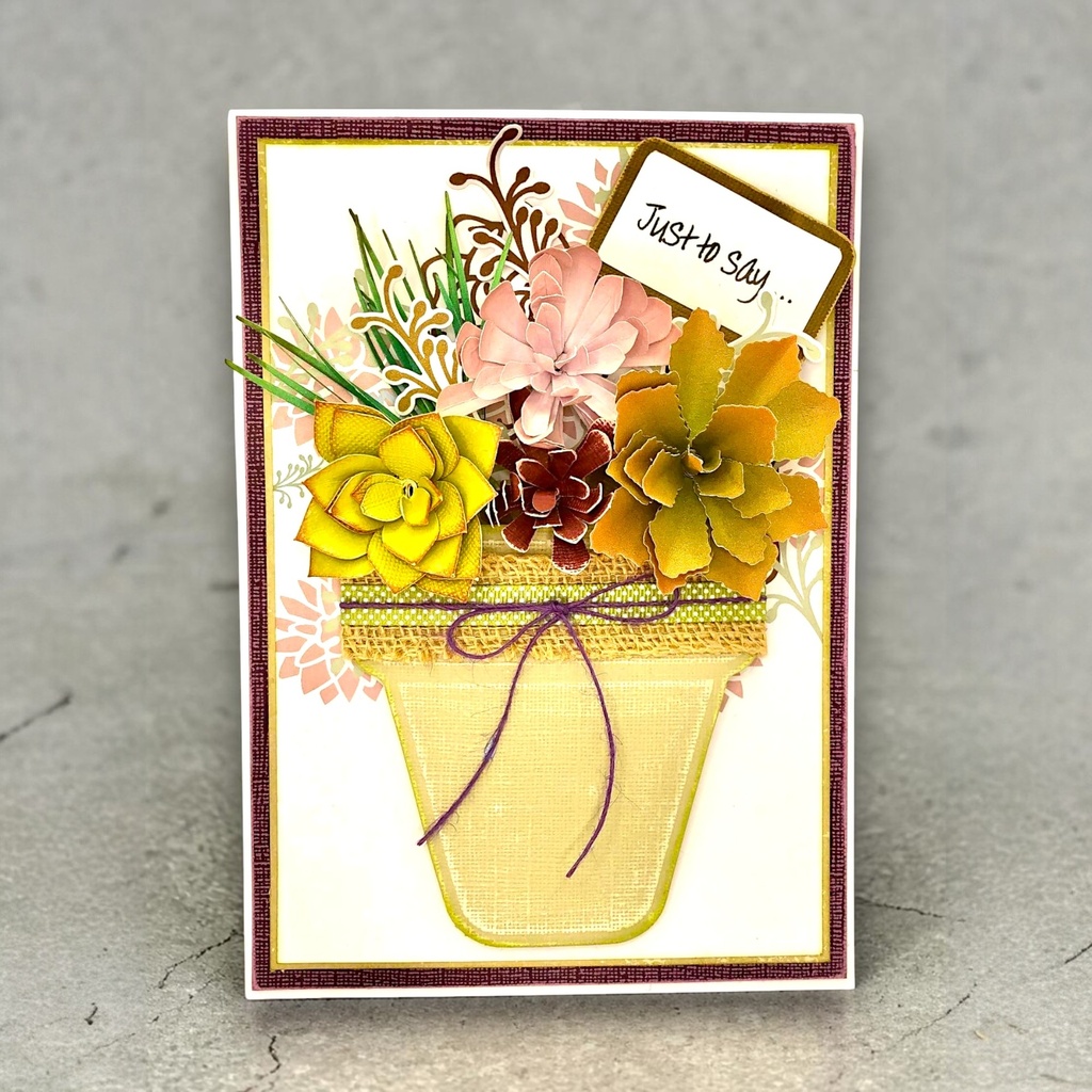 Sharon Callis Sensational Succulents - Merry Maiden