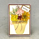 Sharon Callis Sensational Succulents - Neon Breaker