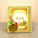 Sharon Callis Sensational Succulents - Lila China