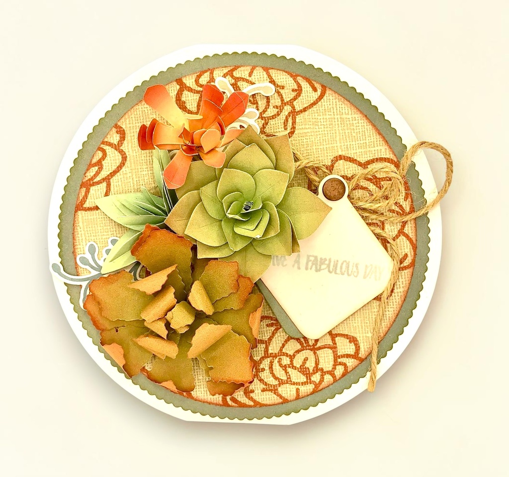 Sharon Callis Sensational Succulents - Lila China