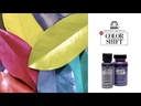 FolkArt Color Shift™ - Silver Flash (2oz)