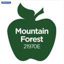 Apple Barrel Multi-Surface - Mountain Forest (2oz)