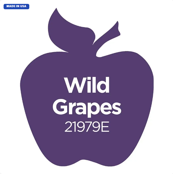 Apple Barrel Multi-Surface - Wild Grapes (2oz)