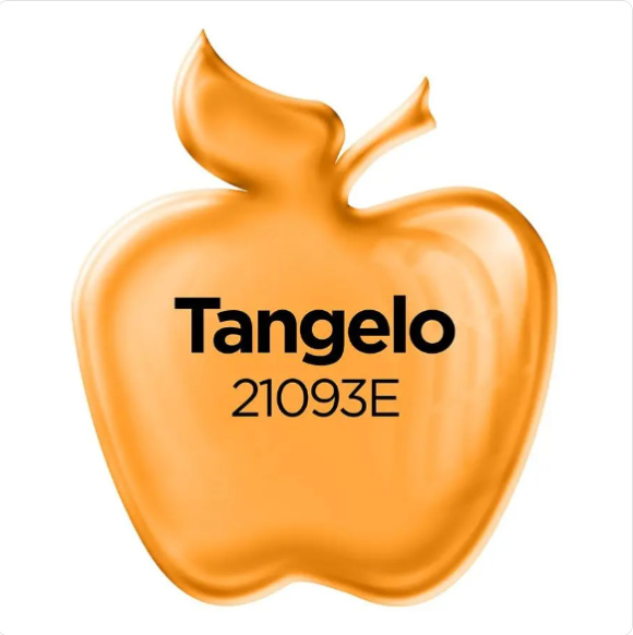 Apple Barrel Gloss - Tangelo (2oz)