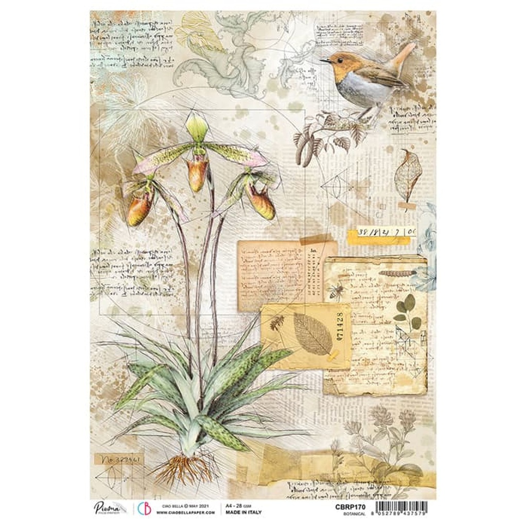 Ciao Bella Paper - Botanical A4 rice paper (SINGLE Sheet)