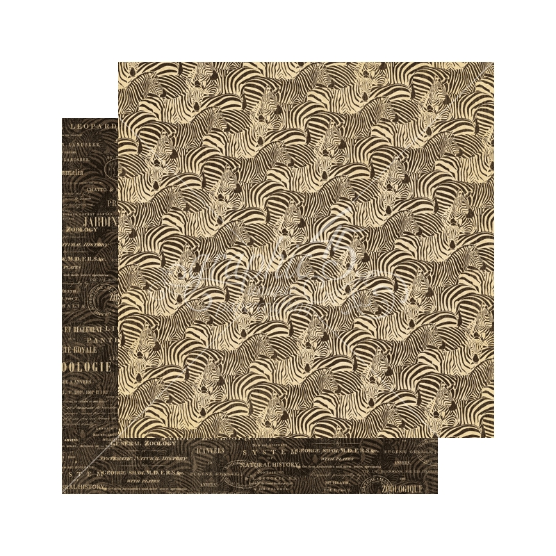 Graphic 45 - Safari - Natural Habitat 12"x12" Paper (x10 Sheets)