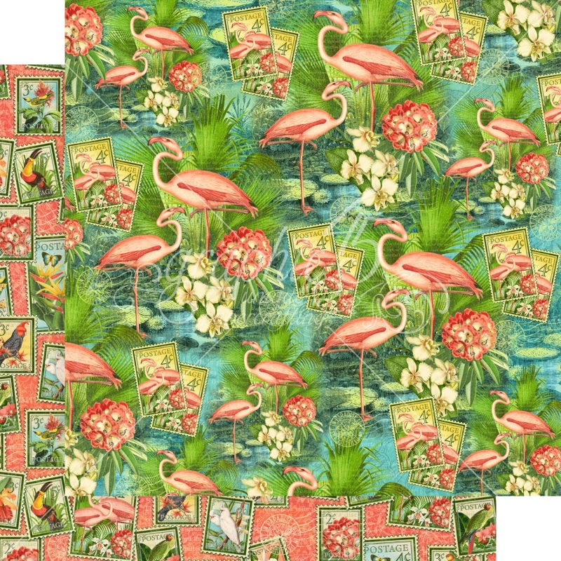 Graphic 45 - Lost in Paradise - Flamingo Lagoon 12"x12" Paper (x5 Sheets)