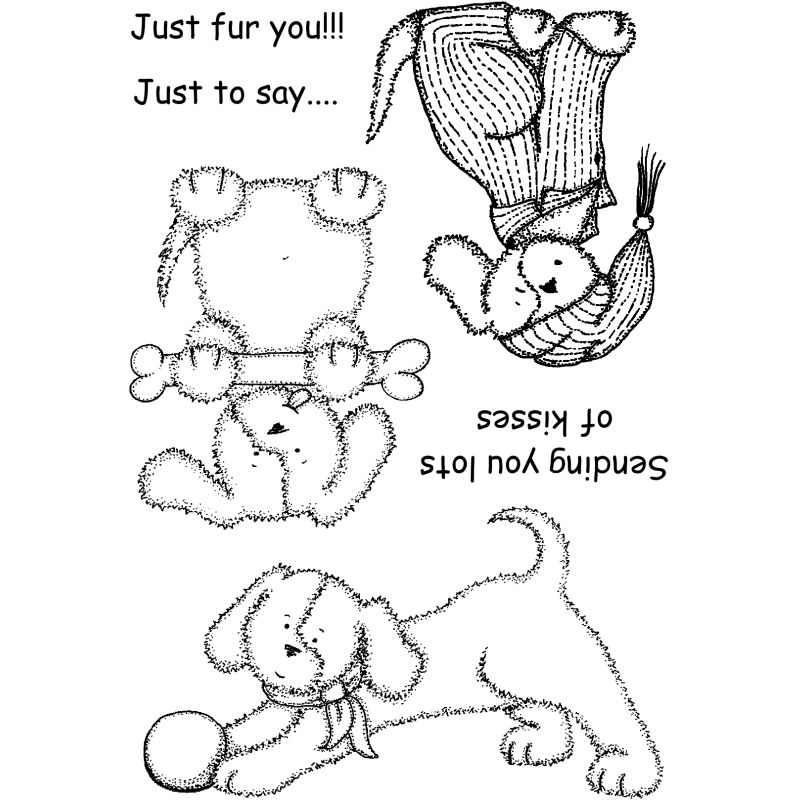 Sweet Dixie Everyday Dog Kisses by Lindsay Mason