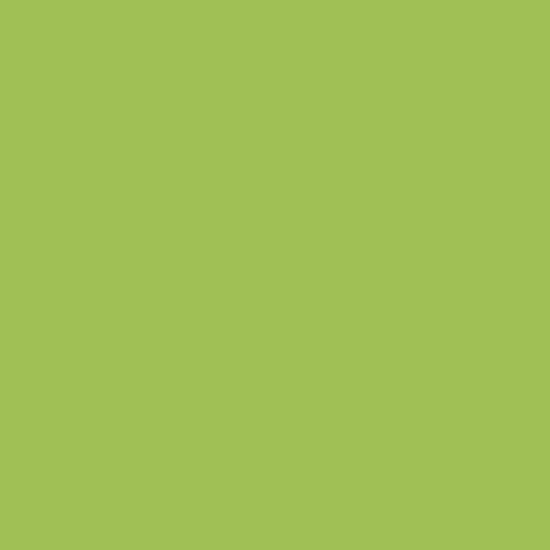 Spellbinders Hybrid Ink Pad - Luscious Lime