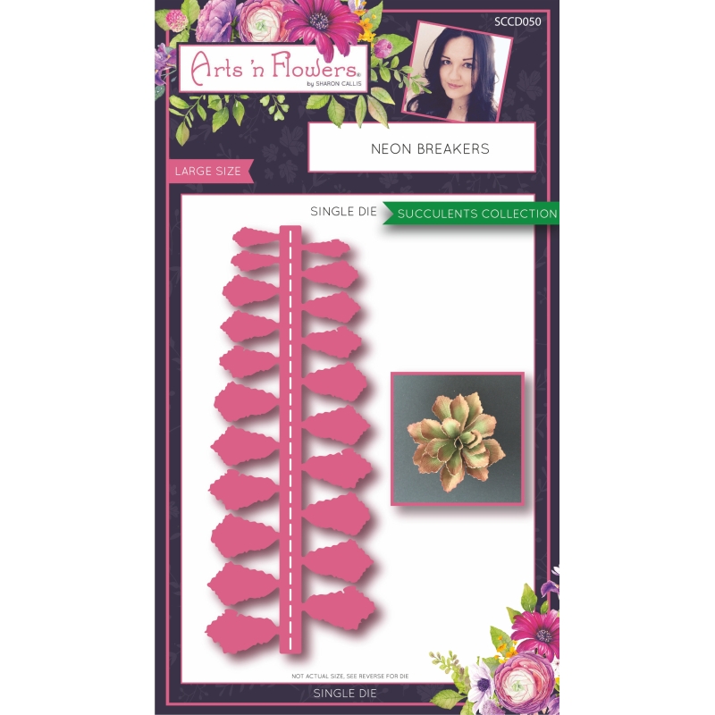 Sharon Callis Sensational Succulents - Neon Breaker
