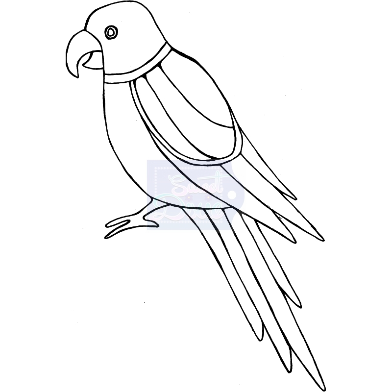 Sweet Dixie Zendoodle Parrot by Lindsay Mason