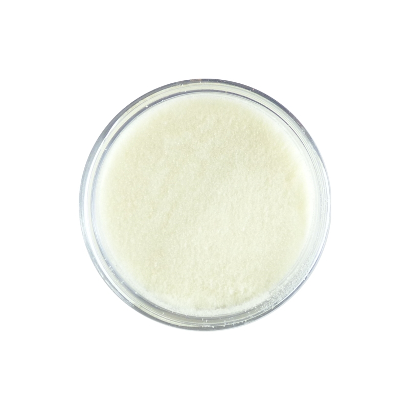 Sweet Dixie Embossing Powder - Crystal Clear High Gloss