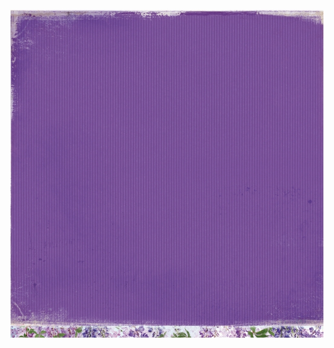 Studio Light - La Provence 