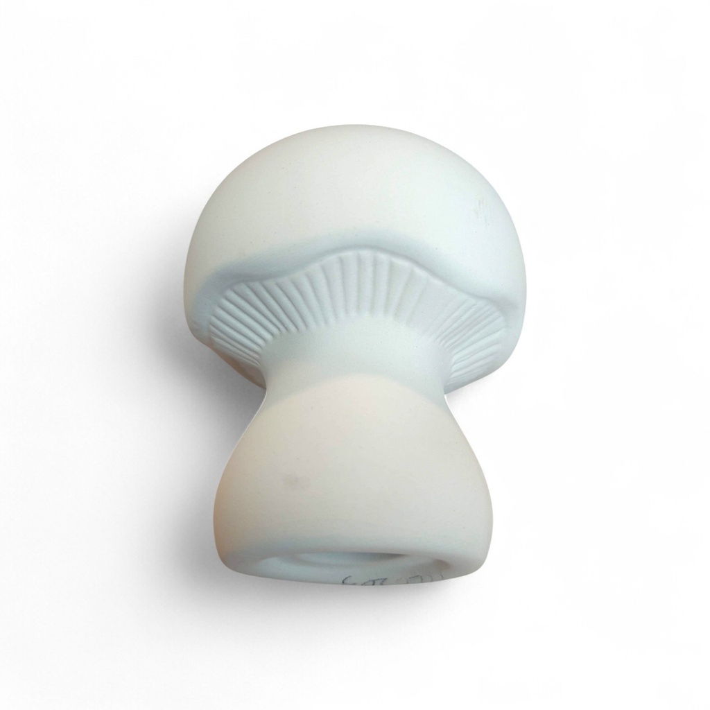 Toad Stool Small (Carton of 6)