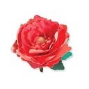 Spellbinders Shapeabilities - Ruffled Flowers