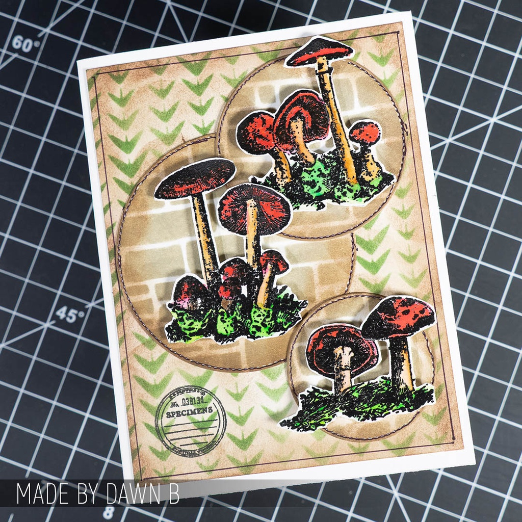 Tim Holtz - Stampers Anonymous Cling Stamps - Tiny Toadstools