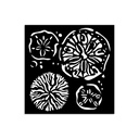 Thick stencil cm 12X12 - Silent Sea sponges