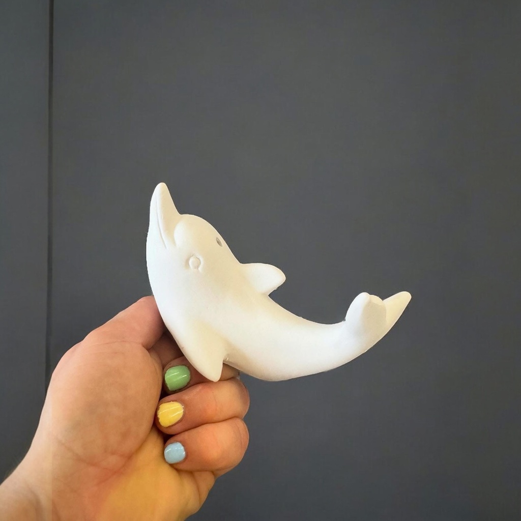 Cute Dolphin (Carton of 12)