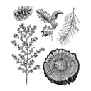 Tim Holtz - Stampers Anonymous Cling Stamps - Forest Floor 2