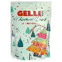 Gelli Arts® Christmas Card Kit