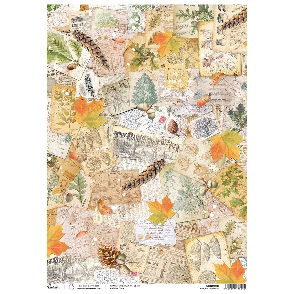Ciao Bella Paper - A Walk In The Forest  A3 rice paper (3 pack)