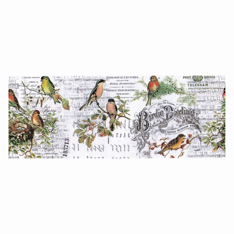 Tim Holtz Idea-ology - Collage Paper Aviary (roll)