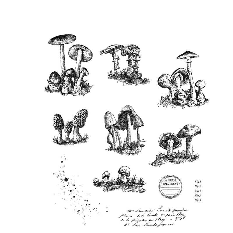 Tim Holtz - Stampers Anonymous Cling Stamps - Tiny Toadstools
