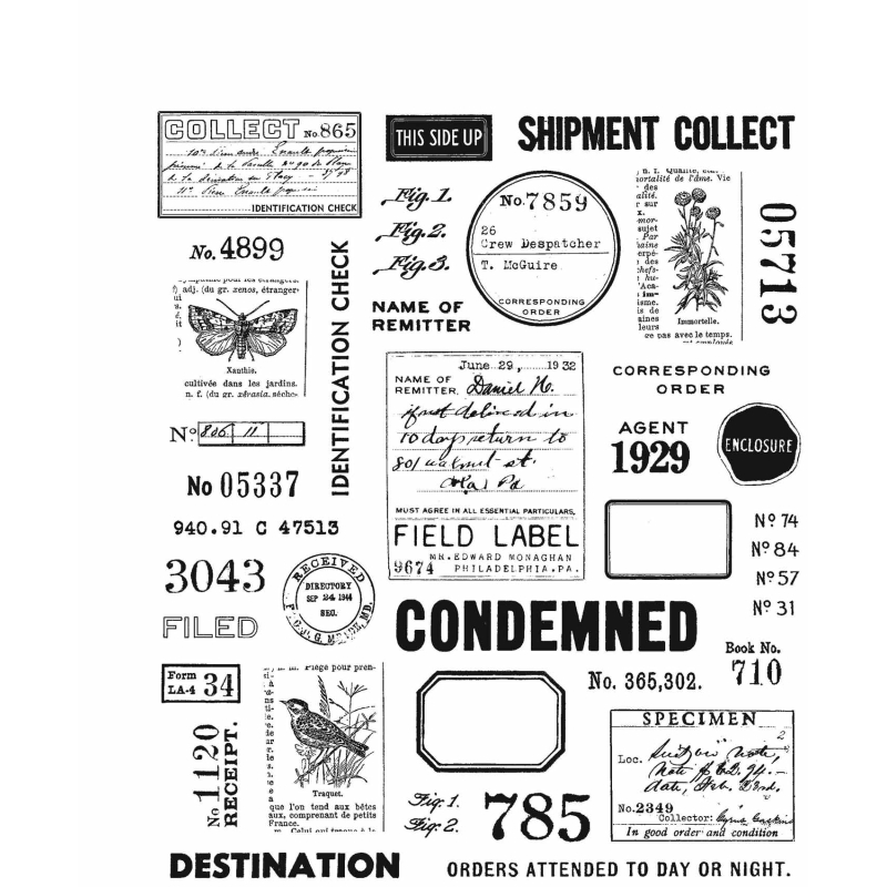 Tim Holtz - Stampers Anonymous Cling Stamps - Field Notes