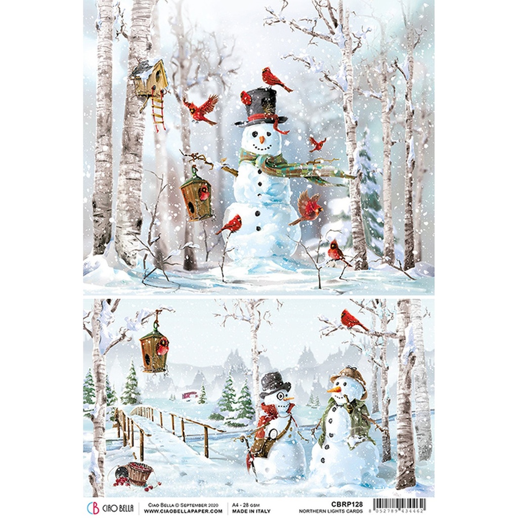 Ciao Bella Paper - Northern Lights Cards A4 rice paper (SINGLE Sheet)