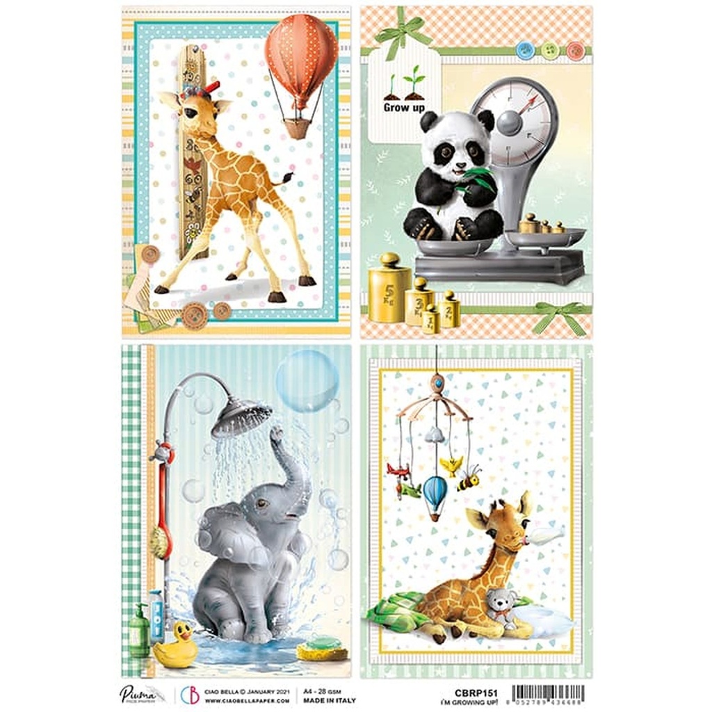 Ciao Bella Paper - I'M Growing Up! A4 rice paper (SINGLE Sheet)