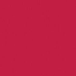 Wild Watermelon Crafters Acrylic 2oz