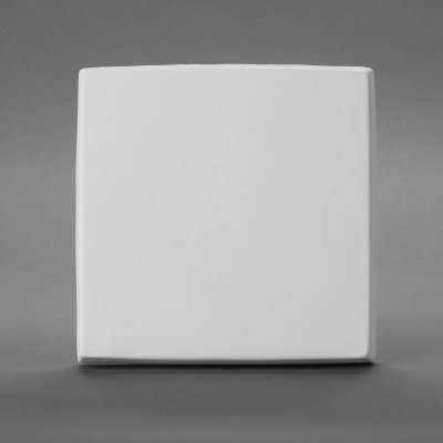 CANVAS 10x10 (Carton of 6)