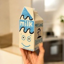 Milk Carton Jug Small (carton of 12)