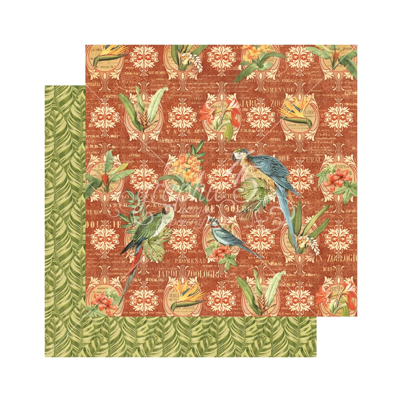 Graphic 45 - Safari - Call of the Wild 12"x12" Paper (x10 Sheets)