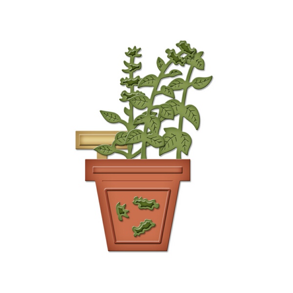 Basil