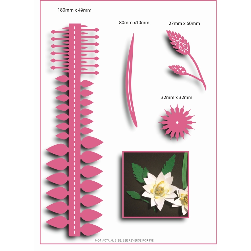 Sharon Callis Star of Bethlehem (Medium) - Christmas Flowers & Foliage Collection