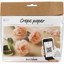 Creativ - Crepe Paper Mini Craft Kit - Carnations