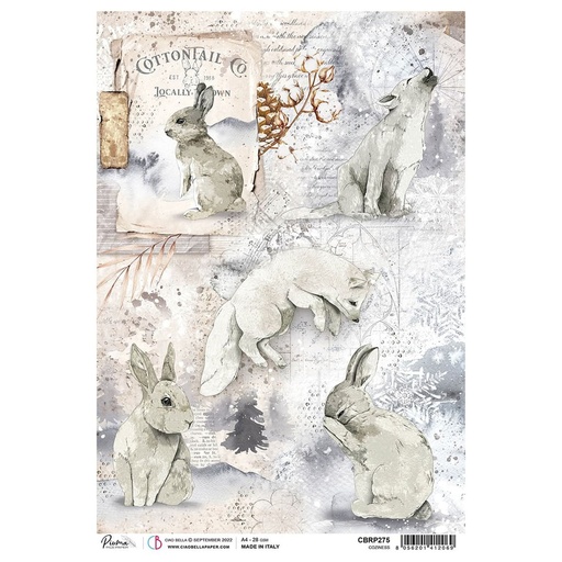 Ciao Bella Paper - Coziness A4 rice paper (SINGLE Sheet)