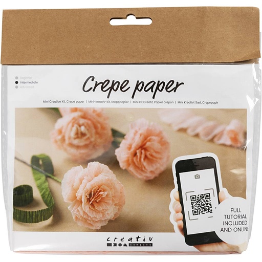 Creativ - Crepe Paper Mini Craft Kit - Carnations