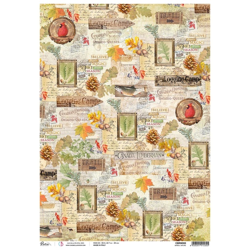 Ciao Bella Paper - Boreal Nature A3 rice paper (SINGLE Sheet)