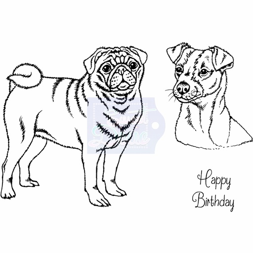 Sweet Dixie Pug & Jack Russell Terrier