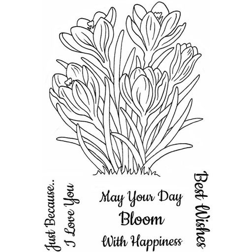 Sweet Dixie Crocuses