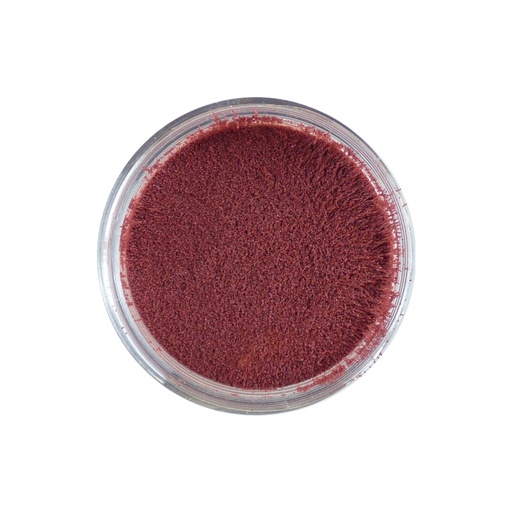 Sweet Dixie Precious Gems Embossing Powder - Topaz