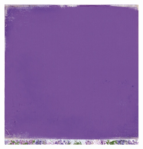 Studio Light - La Provence 